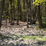 Materin Roccaforte Mondovì