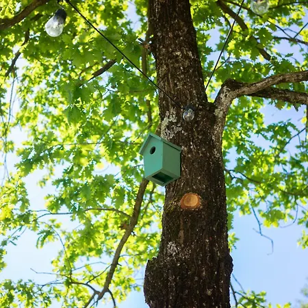 Materin Dom wakacyjny Roccaforte Mondovì