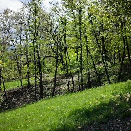 Casa de Férias Materin Roccaforte Mondovì