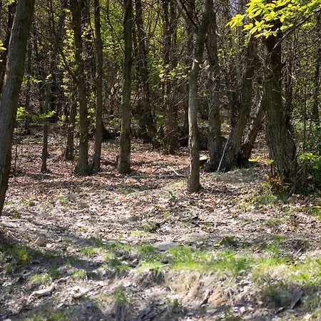 Materin Roccaforte Mondovì