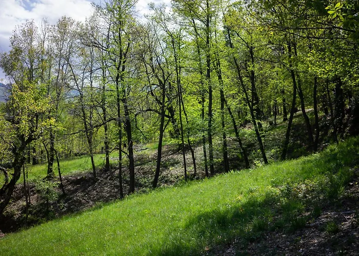 Σπίτι διακοπών Materin Roccaforte Mondovì