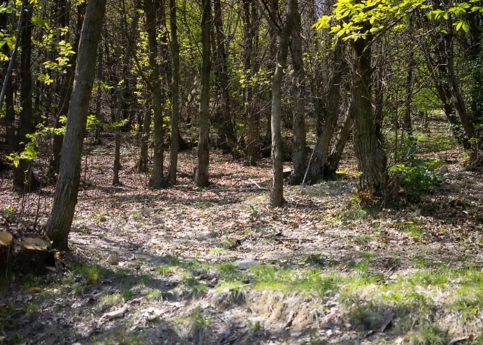 Materin Roccaforte Mondovì
